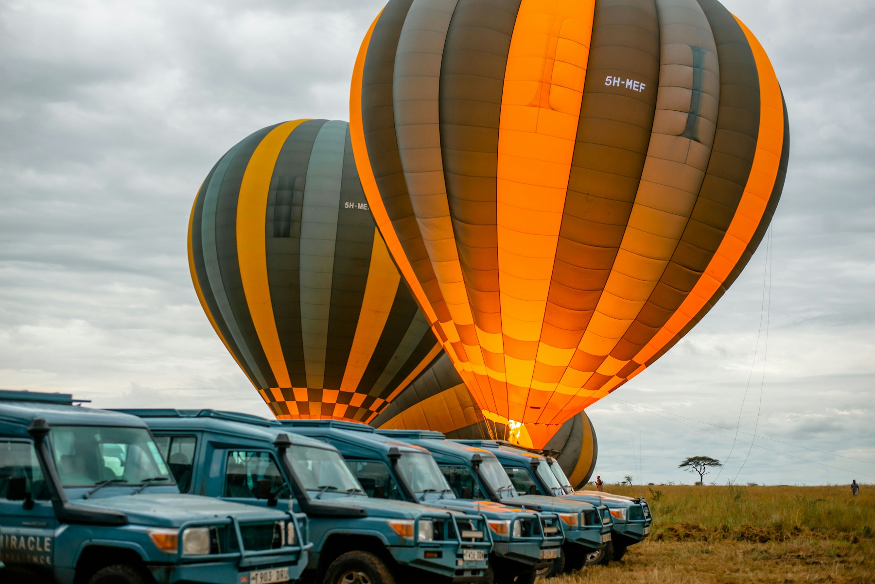 Plan Your Trip safari guide