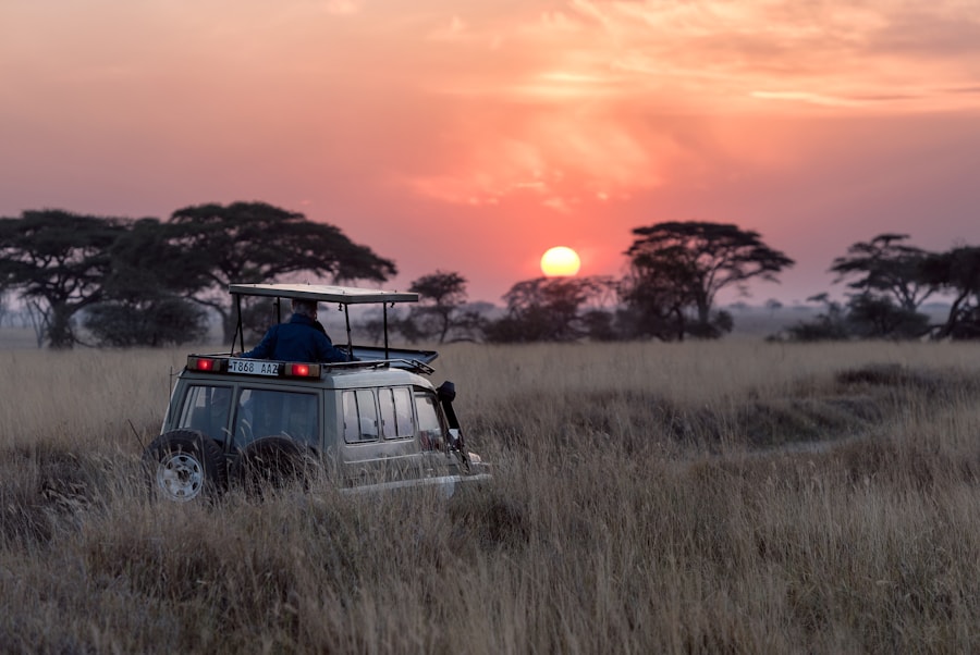 Great Migration Safari in Kenya & Tanzania