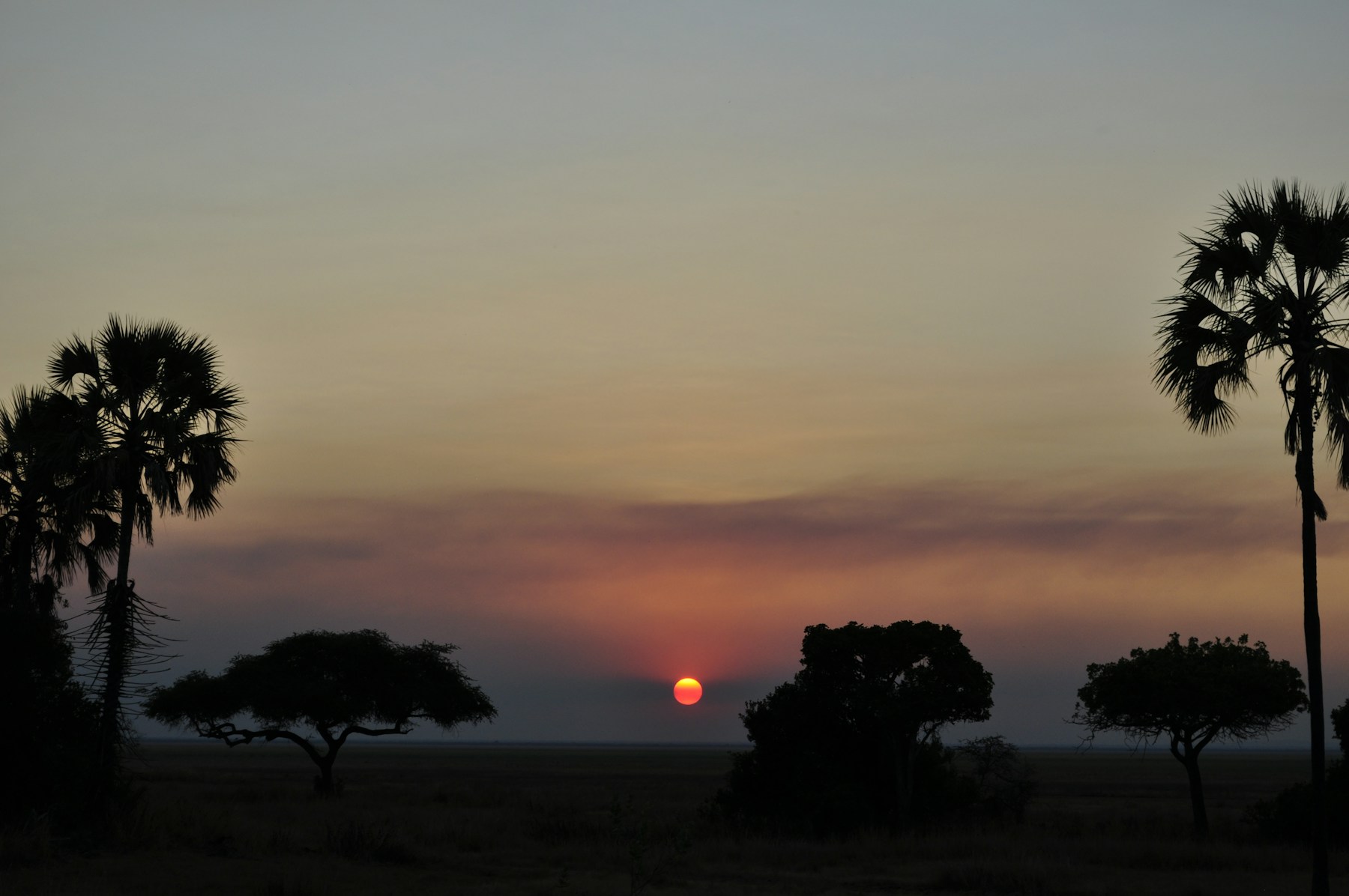 Sundowners