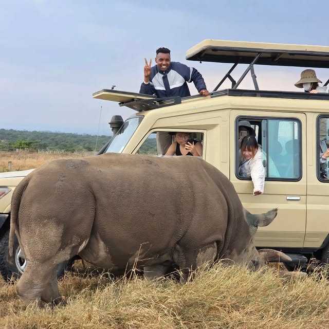 Janja Tours Instagram safari moment