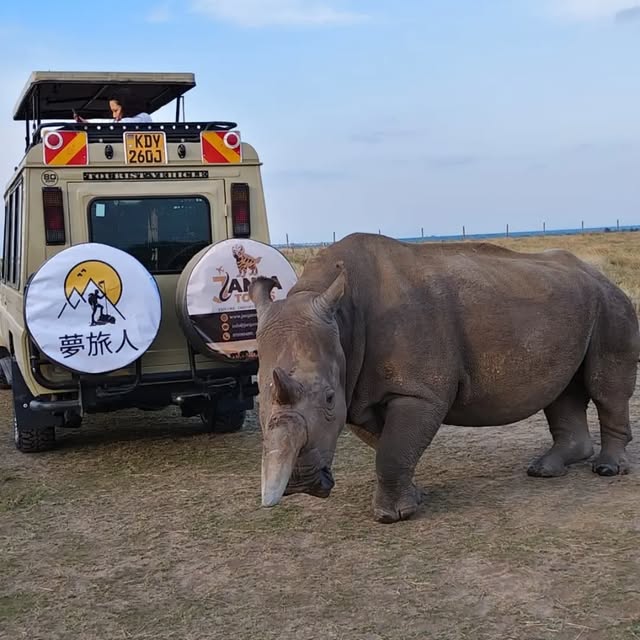 Janja Tours Instagram safari moment