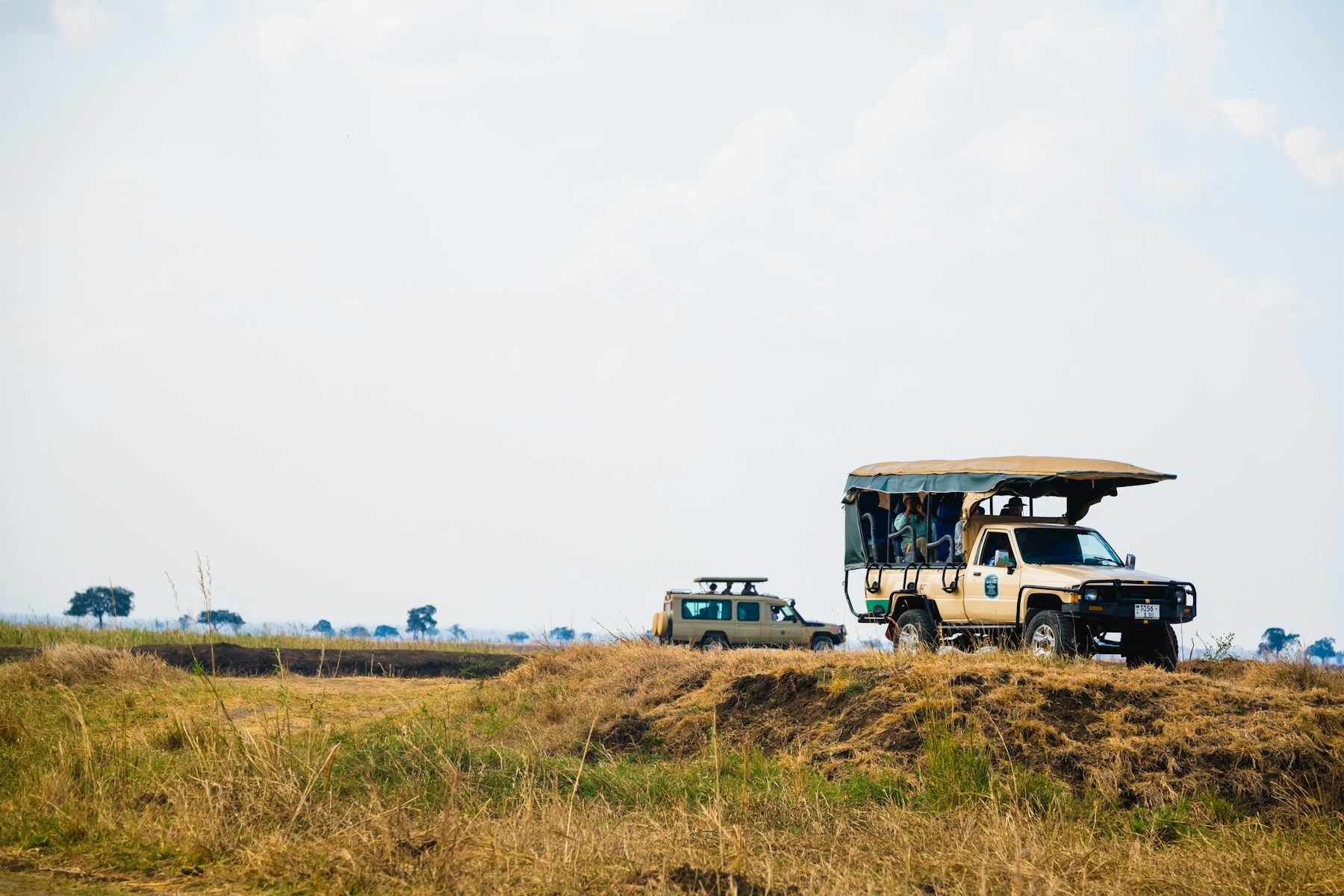 Responsible Travel safari guide