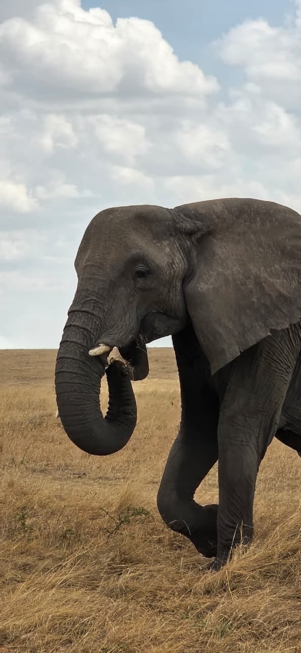 Amboseli National Park