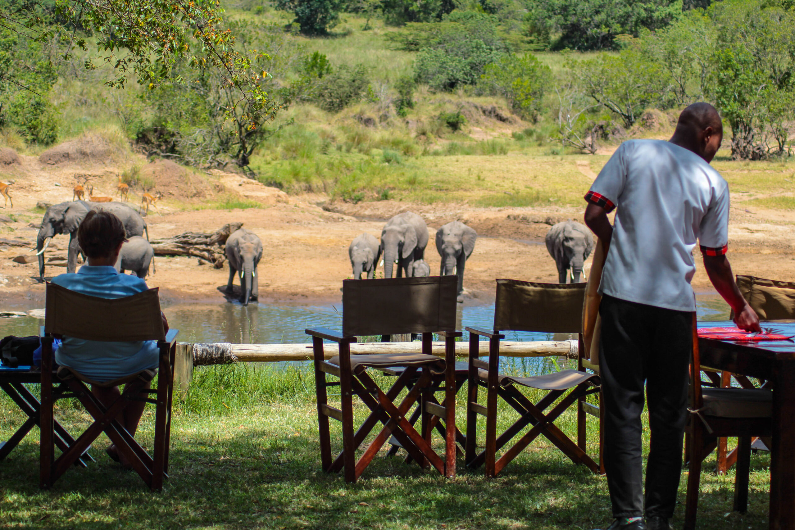 Private Game Drives