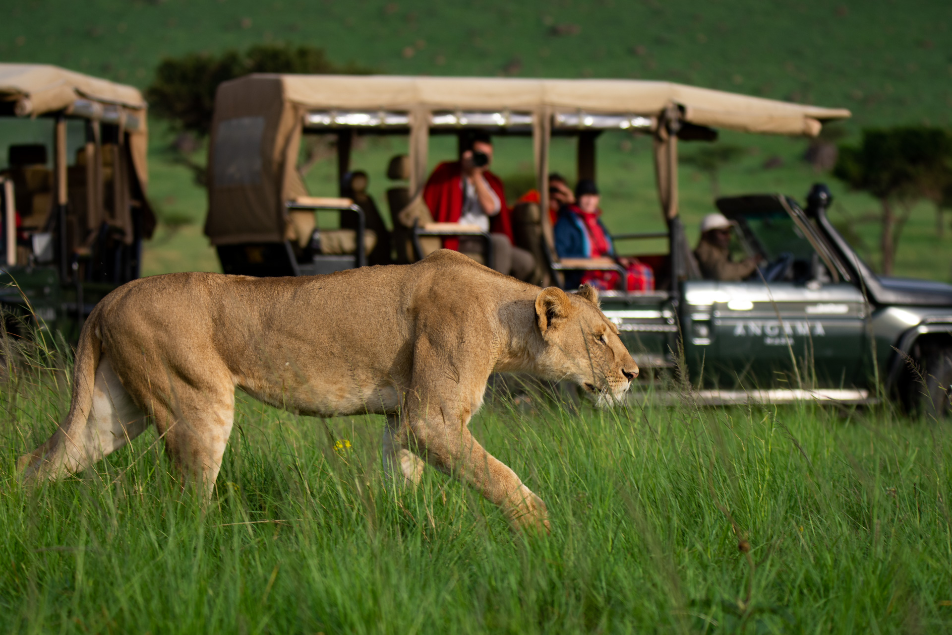 The Ultimate Kenya Experience overview